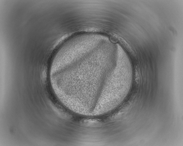 X0000115060208200911161615