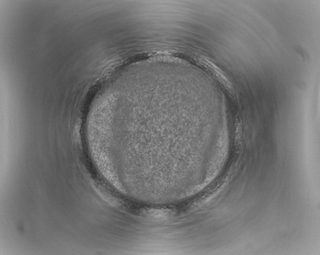 X0000115060209200911161615