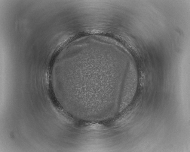 X0000115060210200911161615