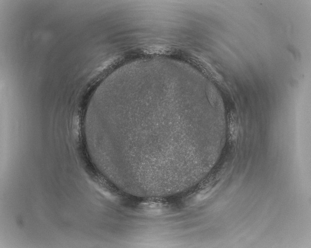 X0000115060211200911161615