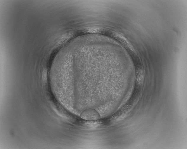 X0000115060213200911161615