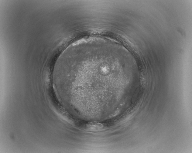 X0000115060215200911161615