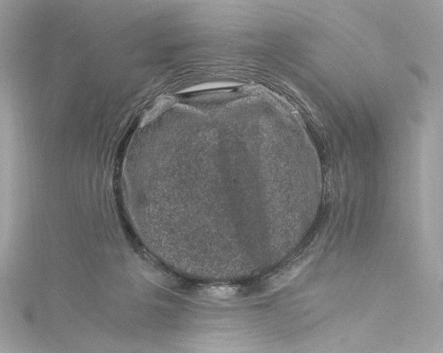 X0000115060217200911161615