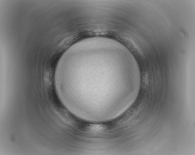 X0000115060218200911161615