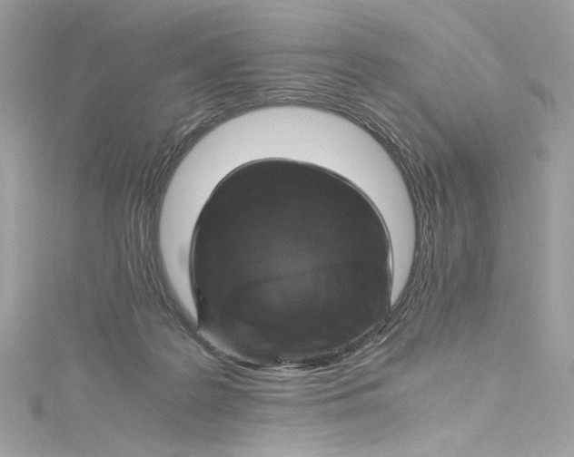 X0000115060219200911161615