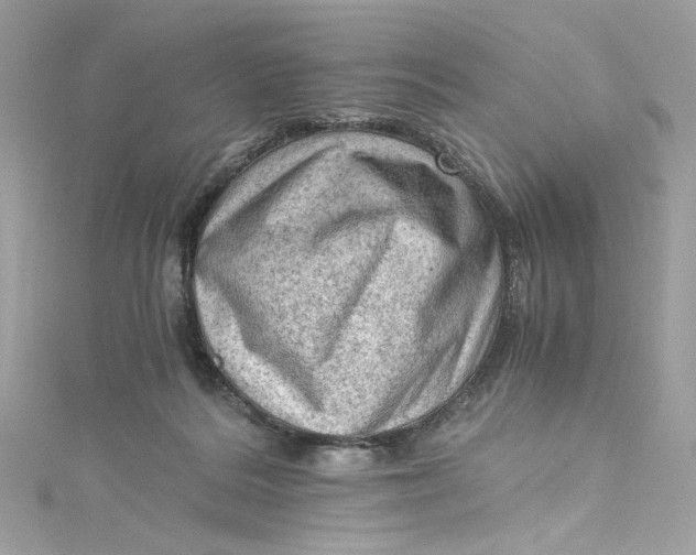 X0000115060220200911161615