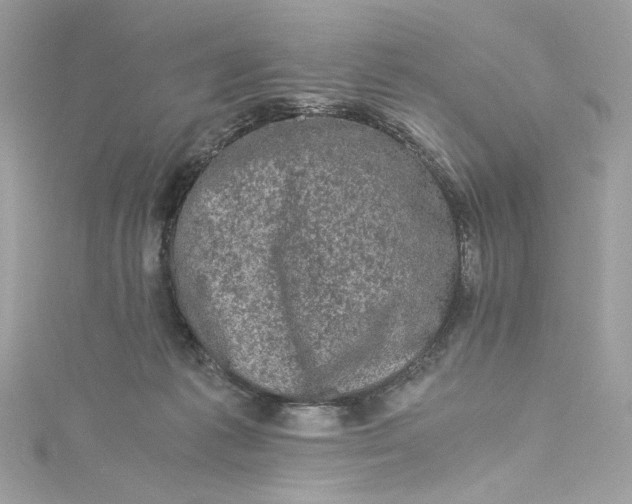 X0000115060221200911161615