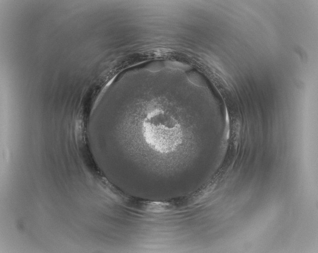 X0000115060222200911161615