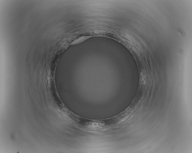 X0000115060223200911161615