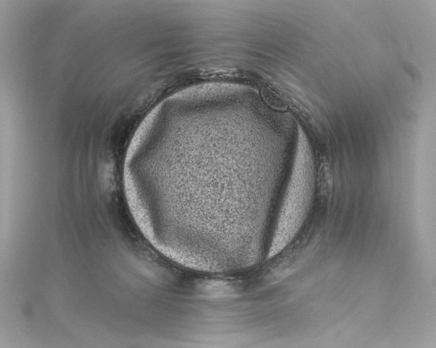 X0000115060224200911161615