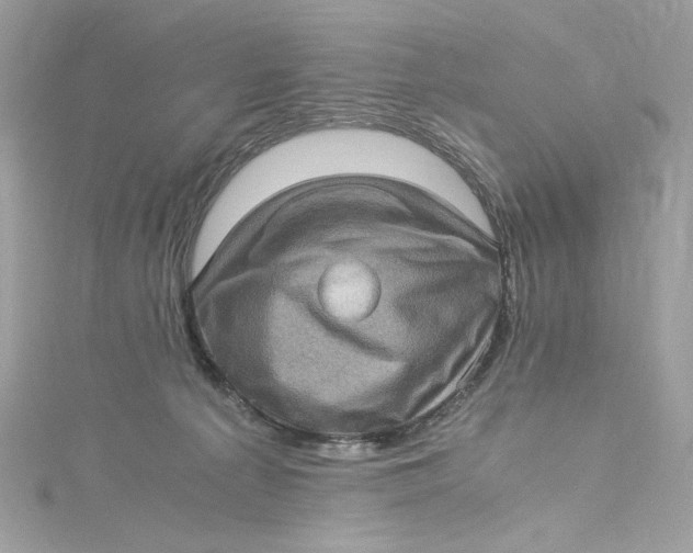 X0000115060225200911161615