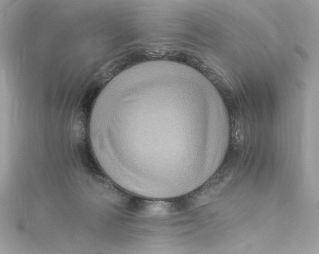 X0000115060226200911161615