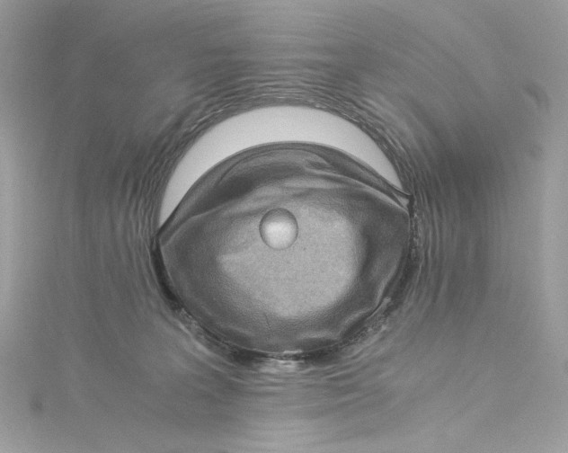 X0000115060227200911161615