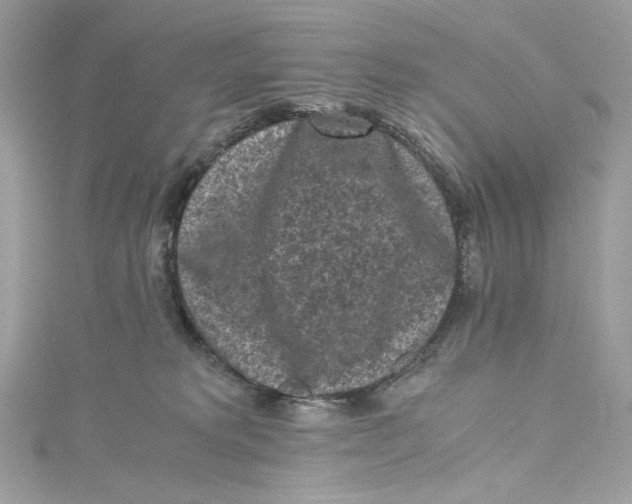 X0000115060229200911161615