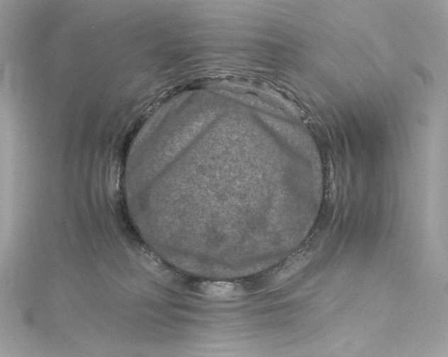 X0000115060230200911161615