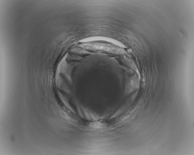 X0000115060231200911161615