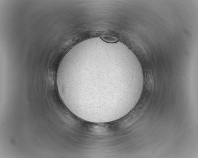 X0000115060232200911161615