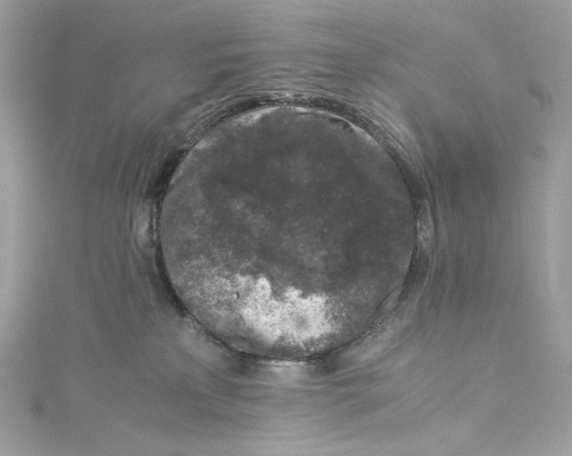 X0000115060233200911161615