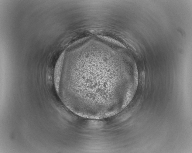 X0000115060234200911161615