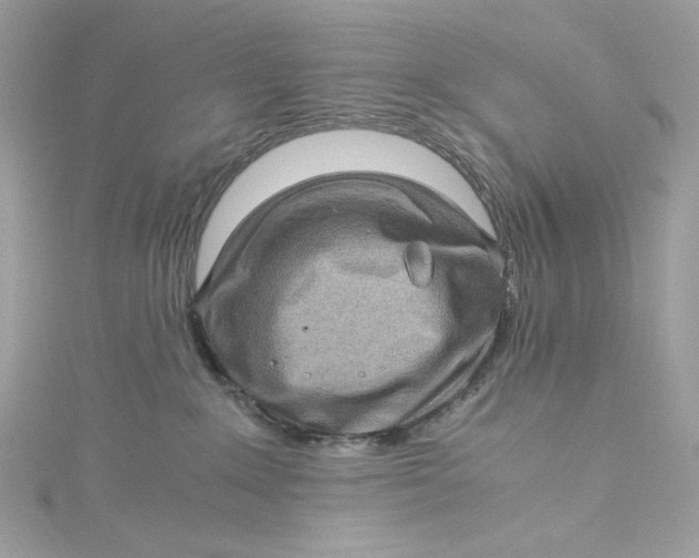 X0000115060235200911161615