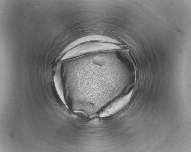 X0000115060236200911161615