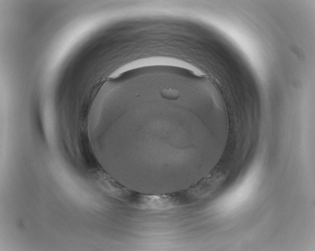 X0000115060239200911161615