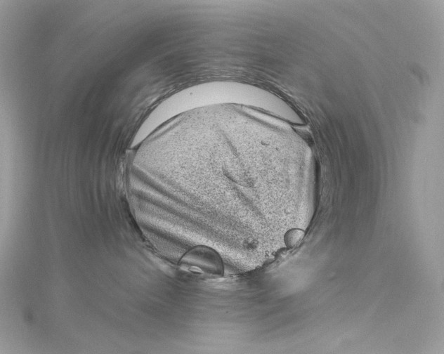 X0000115060240200911161615