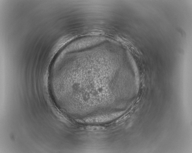 X0000115060242200911161614