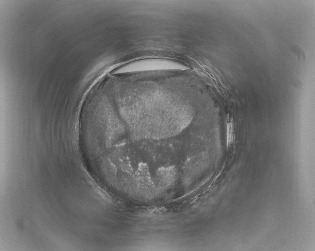 X0000115060243200911161614