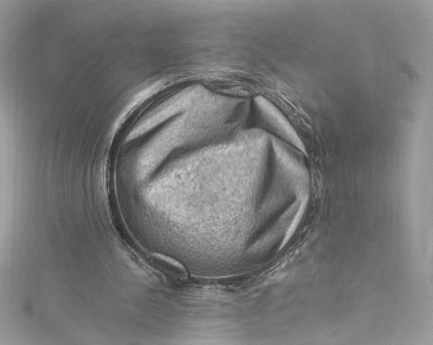 X0000115060244200911161614