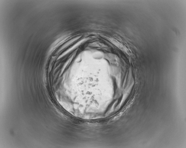 X0000115060245200911161614