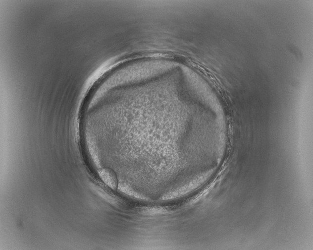 X0000115060246200911161614