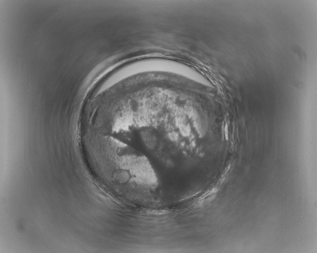 X0000115060247200911161614