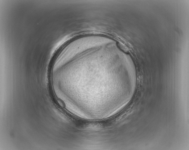 X0000115060248200911161614