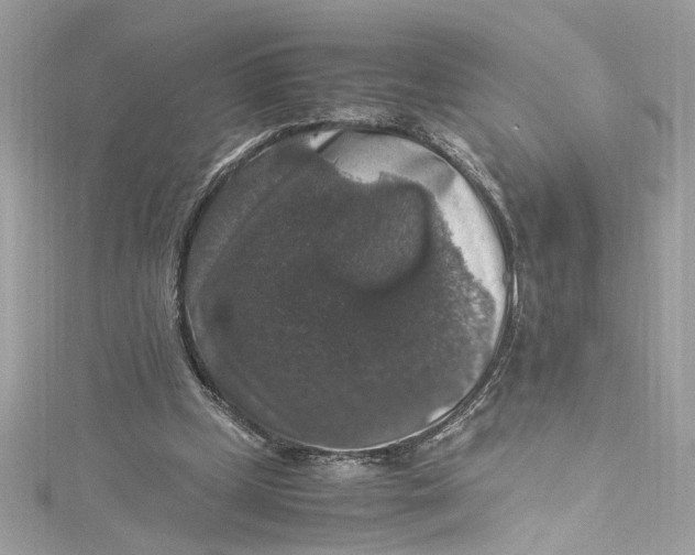 X0000115060249200911161614