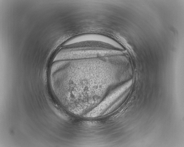 X0000115060250200911161614