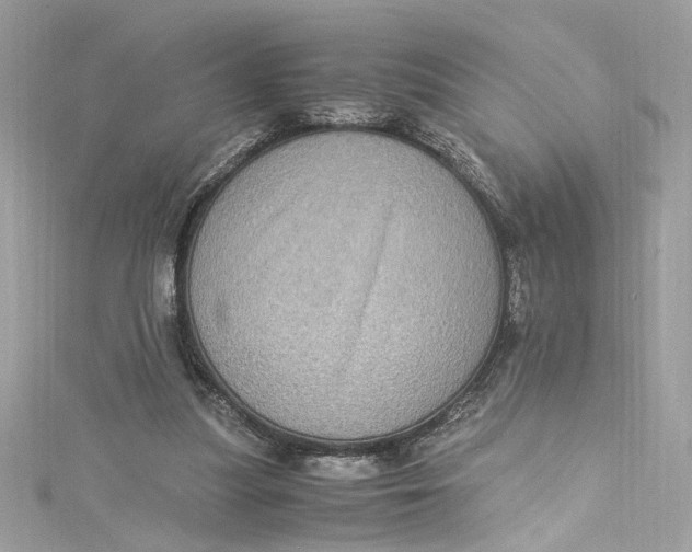 X0000115060251200911161614