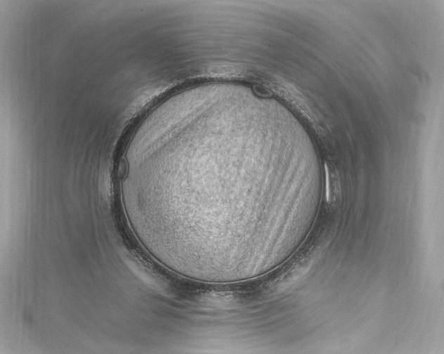 X0000115060252200911161614