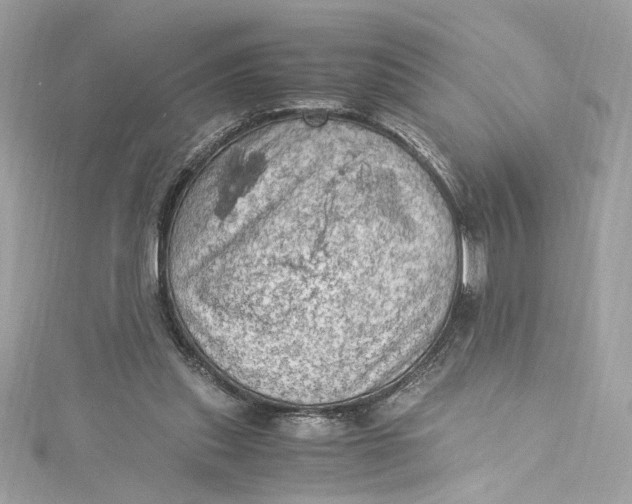 X0000115060253200911161614