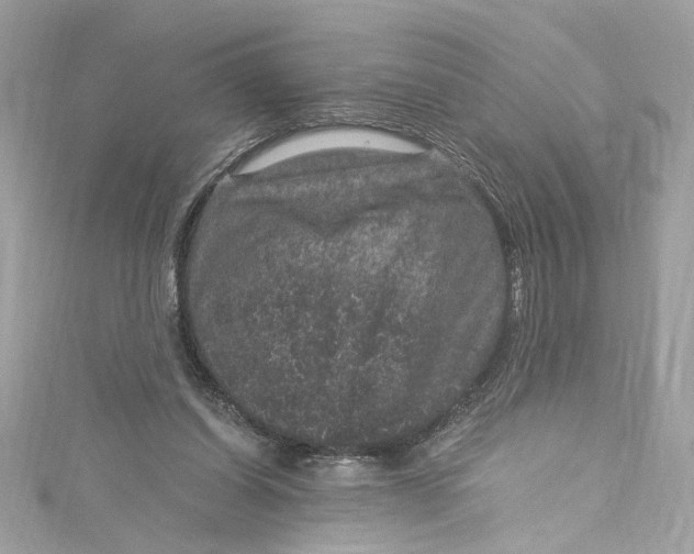 X0000115060254200911161614