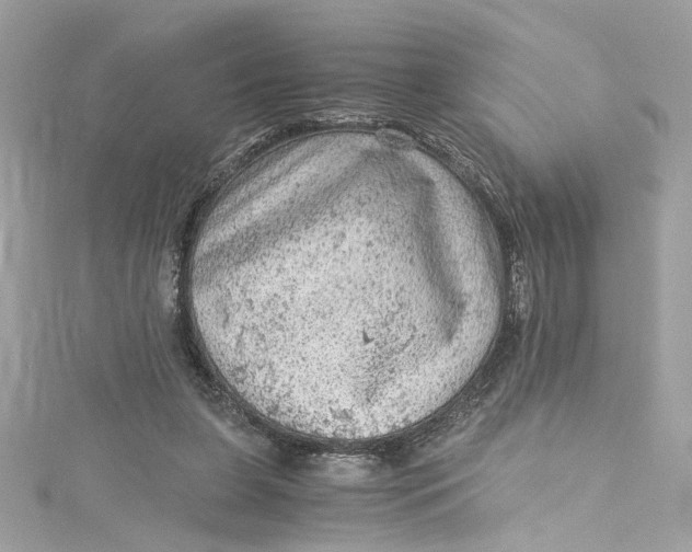 X0000115060255200911161615