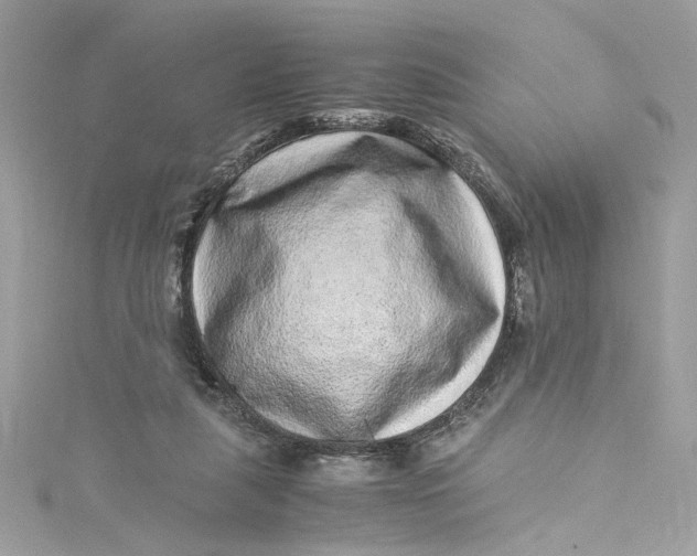 X0000115060259200911161615