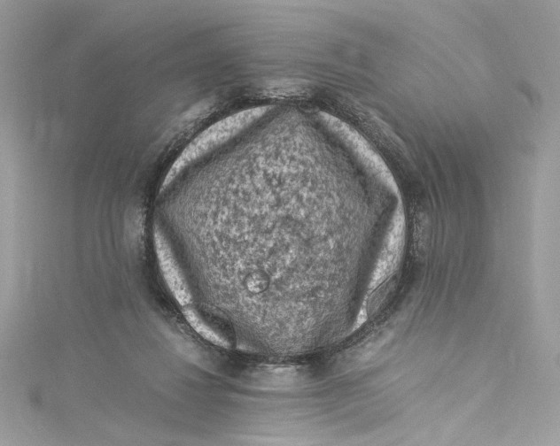 X0000115060260200911161615