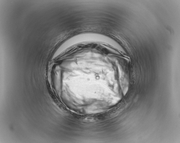 X0000115060261200911161615