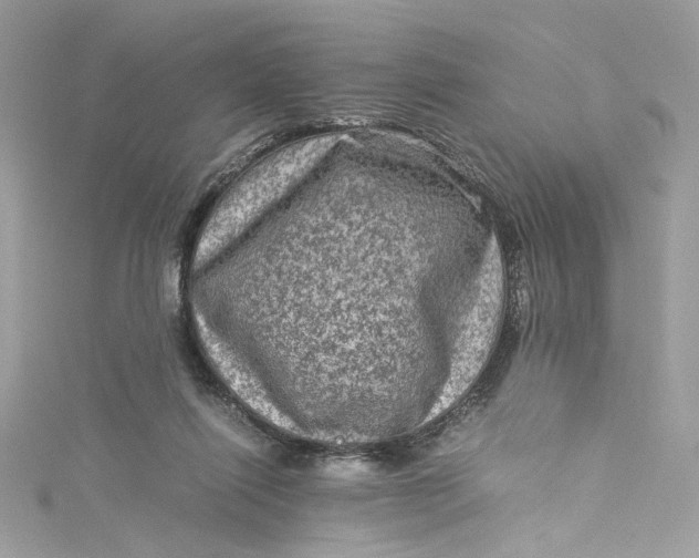 X0000115060262200911161615