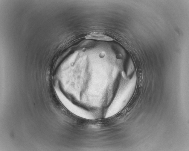 X0000115060263200911161615