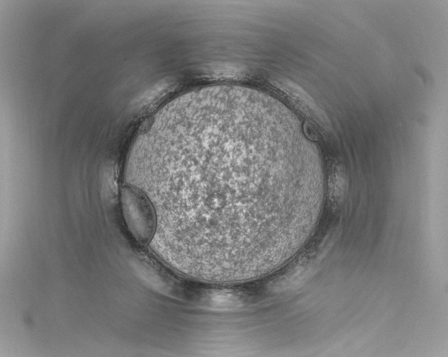 X0000115060264200911161615