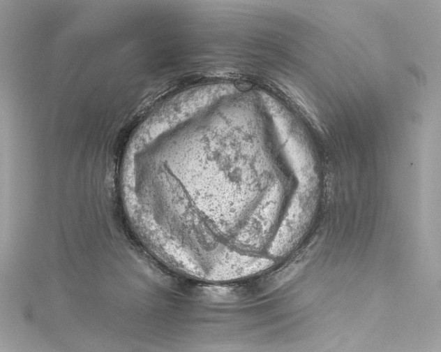 X0000115060265200911161615