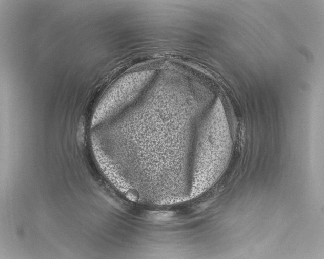 X0000115060266200911161615