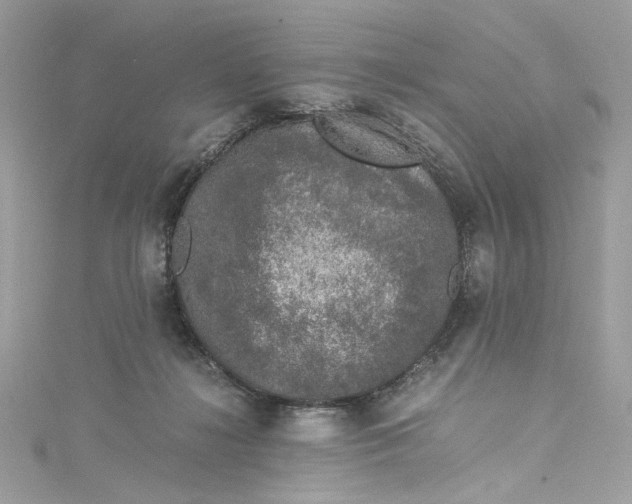 X0000115060268200911161615